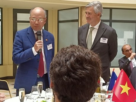 越南驻法大使丁全胜在座谈会上发表讲话。