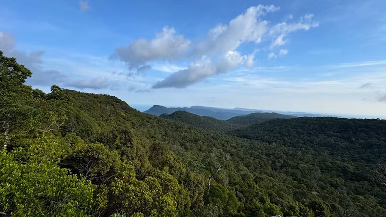 站在主山之巅，俯瞰富国国家公园，仿佛置身浩瀚林海，气势磅礴。