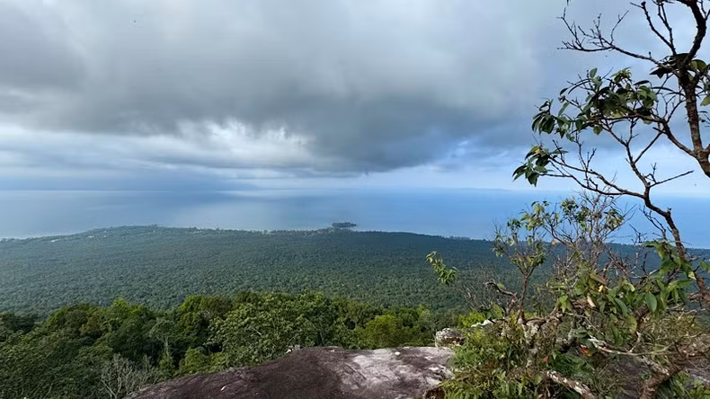 从高处俯瞰，山林与大海融为一体，构成一幅雄伟壮丽的画卷。
