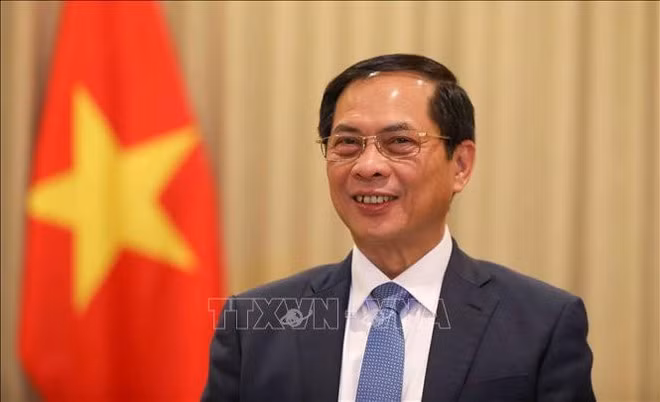 越南政府副总理兼外交部长裴青山。（图片来源：越通社）