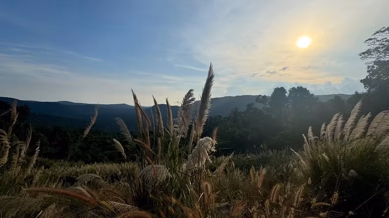 当夕阳缓缓沉入山间，护林员便迎来新一轮的夜间巡逻。