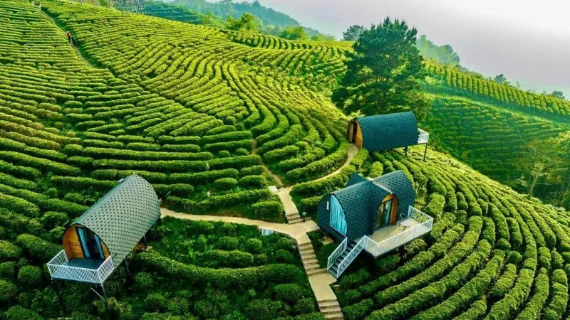 位于高平省原平县成功乡的Kolia生态旅游区是一个绿色环保的旅游目的地。（黄玉 摄）