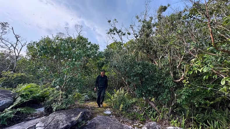 护林员定期巡逻，守护这片原生态的绿色家园。
