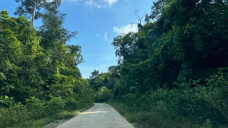 要登顶主山，游客需穿越超过15公里的原始森林。