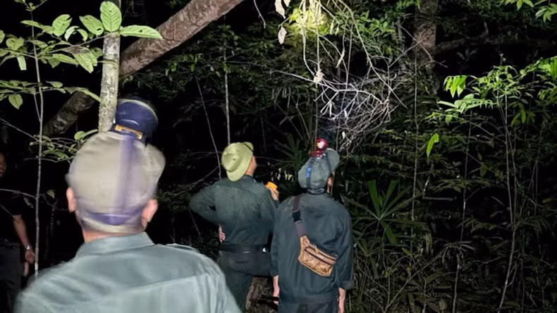 护林队全天候24小时值守，定期巡查，及时发现并制止一切破坏森林的行为，致力于保护多样的生态系统和壮丽的自然景观。