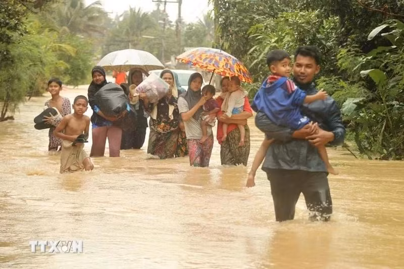 泰国那拉提瓦府遭遇强降雨后被洪水淹没。（图片来源：越通社）