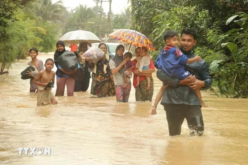 泰国那拉提瓦府遭遇强降雨后被洪水淹没。（图片来源：越通社）