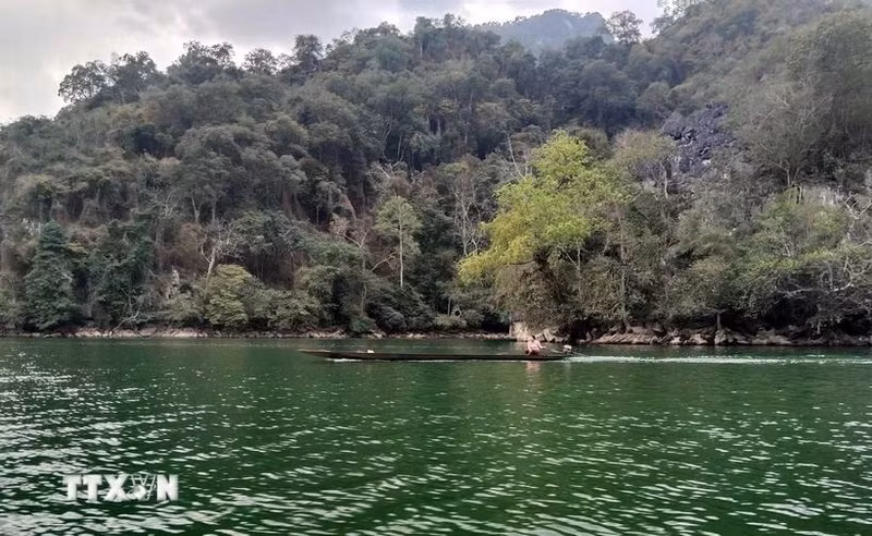 北件省巴贝国家公园。（图片来源：越通社）