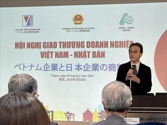 日本贸易振兴机构（JETRO）常务副理事长中沢刚之发表讲话。（图片来源：越通社）