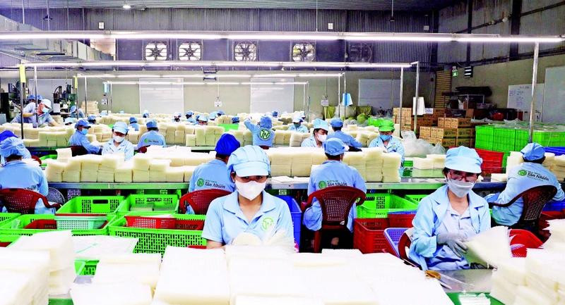 西宁省的成品米纸生产线（图片来源：越通社）