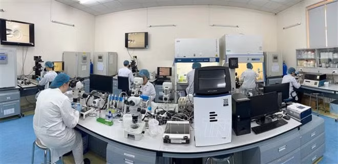 胡志明市国家大学国际大学生物技术实验室。（图片来源：越通社）