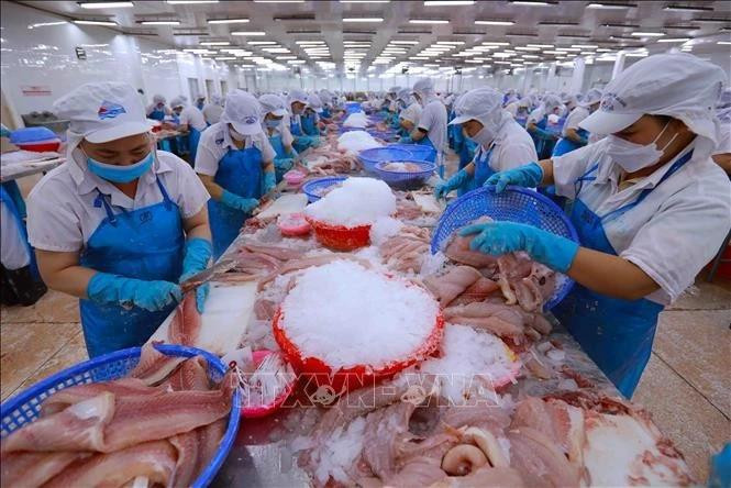 2025年第一季度越南农林水产品出口额增长13%。（图片来源：越通社）