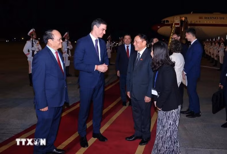 越南文化体育与旅游部部长阮文雄前往河内内排国际机场迎接西班牙首相佩德罗·桑切斯。（图片来源：越通社）