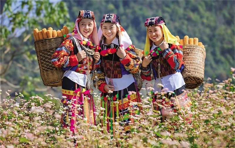 旅游业助力河江省少数民族生活面貌焕发新颜。（图源：投资报）
