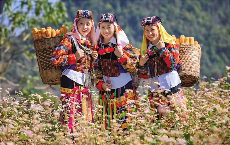 旅游业助力河江省少数民族生活面貌焕发新颜。（图源：投资报）