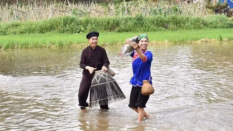 游客在宣光省山阳县新潮乡体验徒手捕鱼活动。