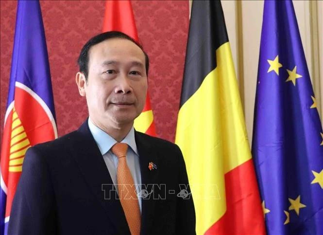 越南驻比利时王国大使、越南驻欧盟代表团团长阮文草。（图片来源：越通社）