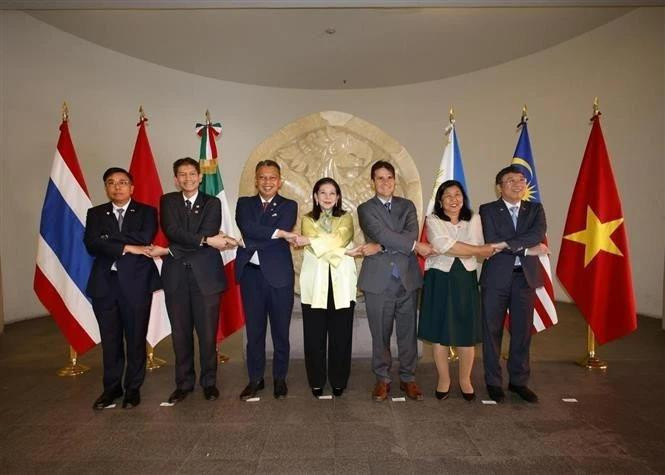 东盟各国驻墨西哥大使与墨西哥外交部副部长玛丽亚·特雷莎·梅尔卡多合影。（图片来源：越通社)