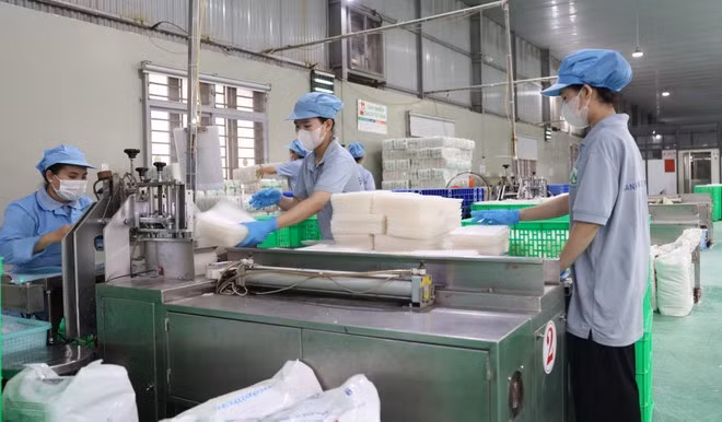 西宁省一家企业的生产链。（图片来源：越通社）