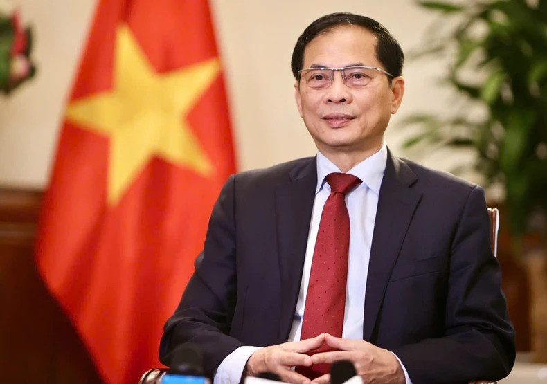越南政府副总理兼外交部部长裴青山接受媒体记者的采访。（图片来源：越南外交部）