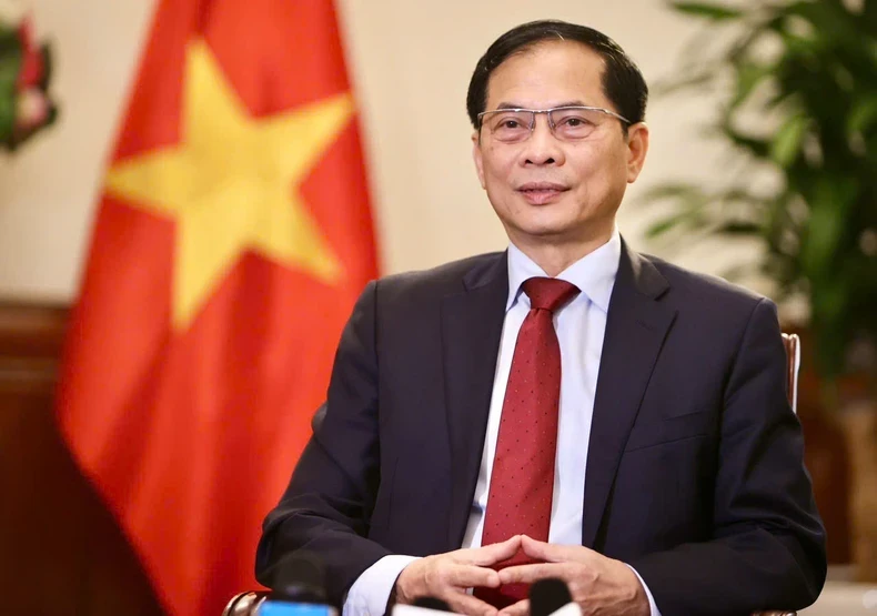越南政府副总理兼外交部部长裴青山接受媒体记者的采访。（图片来源：越南外交部）