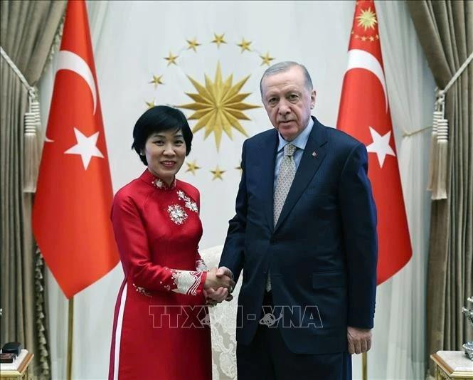越南驻土耳其新任大使邓氏秋河和土耳其总统雷杰普·塔伊普·埃尔多安。（图片来源：越通社）