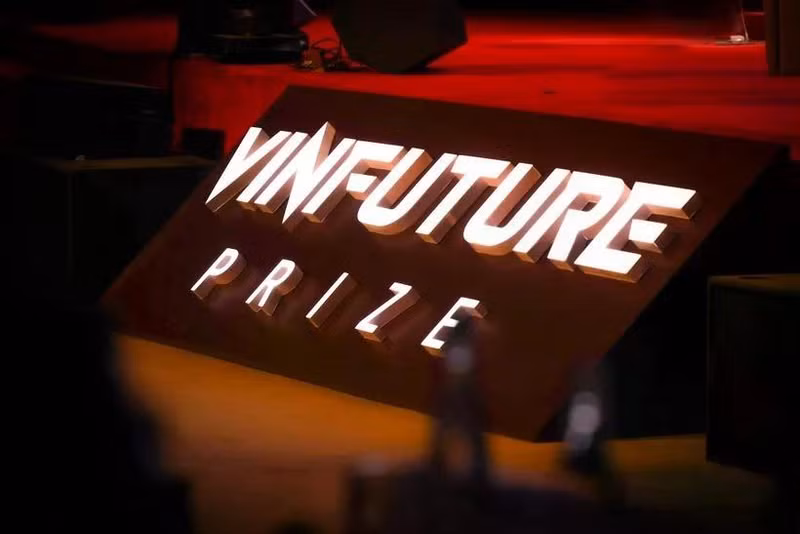 附图。（图片来源：越通社）