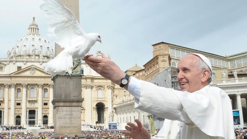 教皇方济各。（图片来源： Vaticannews.va）