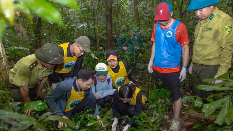 参加宁平省菊芳原始森林“回家”之旅的游客们。
