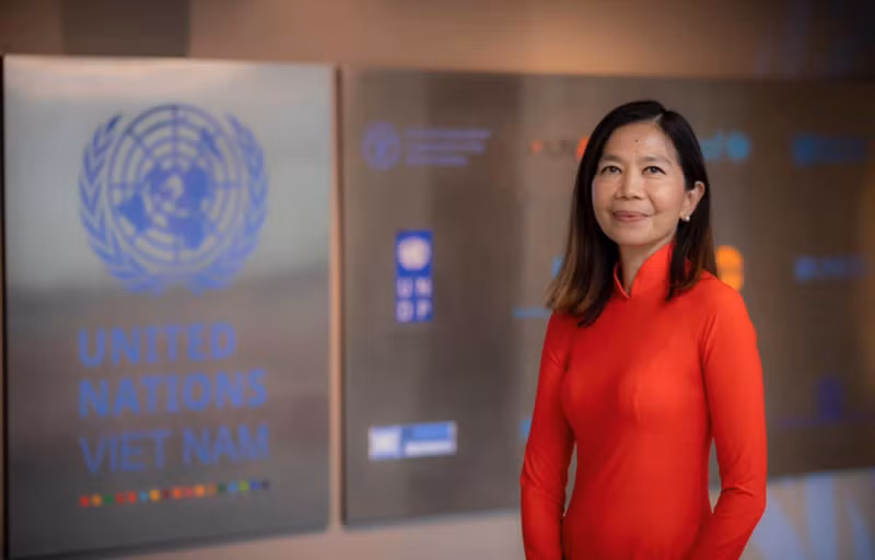 联合国驻越南协调员宝琳·塔梅西斯。