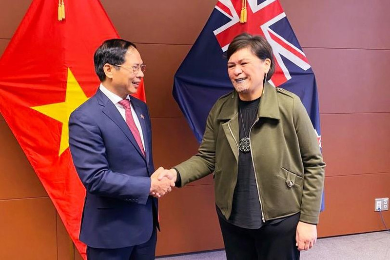 裴青山部长与纳纳娅·马胡塔部长握手。