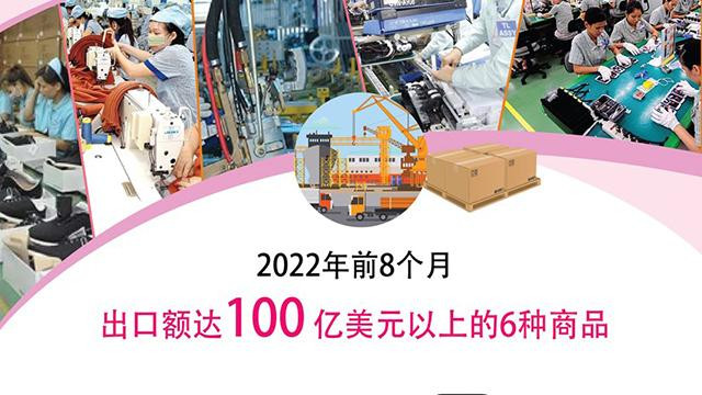 2022年8月出口额达100亿美元以上的6种商品【图表新闻】