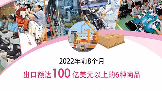 2022年8月出口额达100亿美元以上的6种商品【图表新闻】