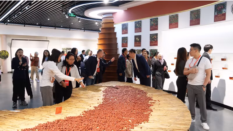 与会代表参观红枣博物馆。