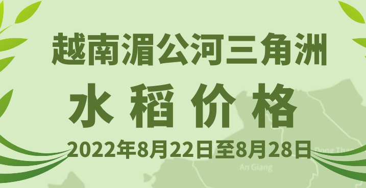越南湄公河三角洲水稻价格(2022.8.22~28)【图表新闻】