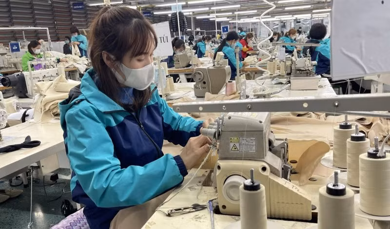 2022年太原省纺织品出口额约达5亿美元，较10年前增长10%左右。