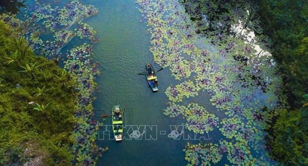 宁平省美丽山水自然风景。