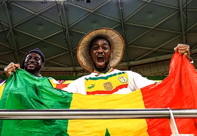 塞内加尔球迷。