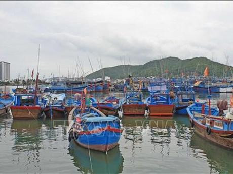 解除IUU“黄牌警告”：尽快完善水产品原产地可追溯性档案