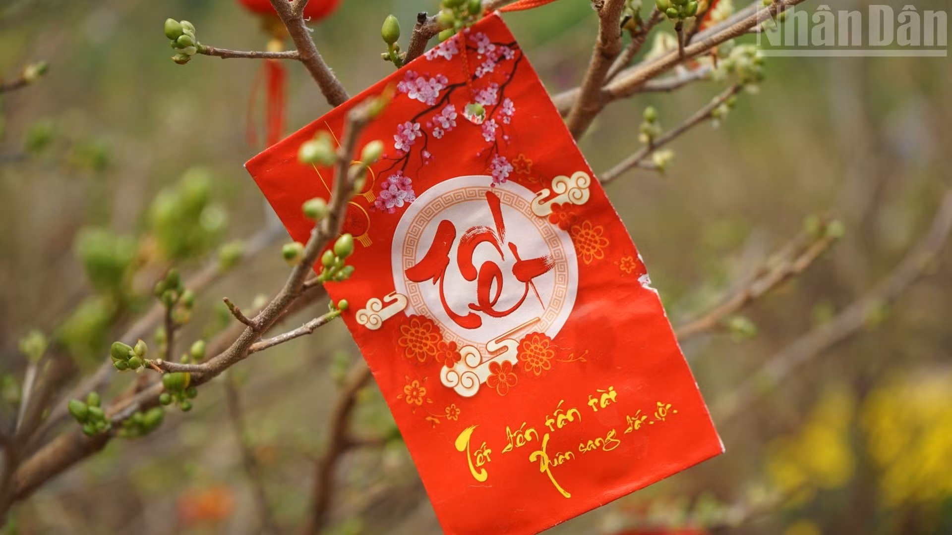 象征着新年的财富和好运的黄梅花。