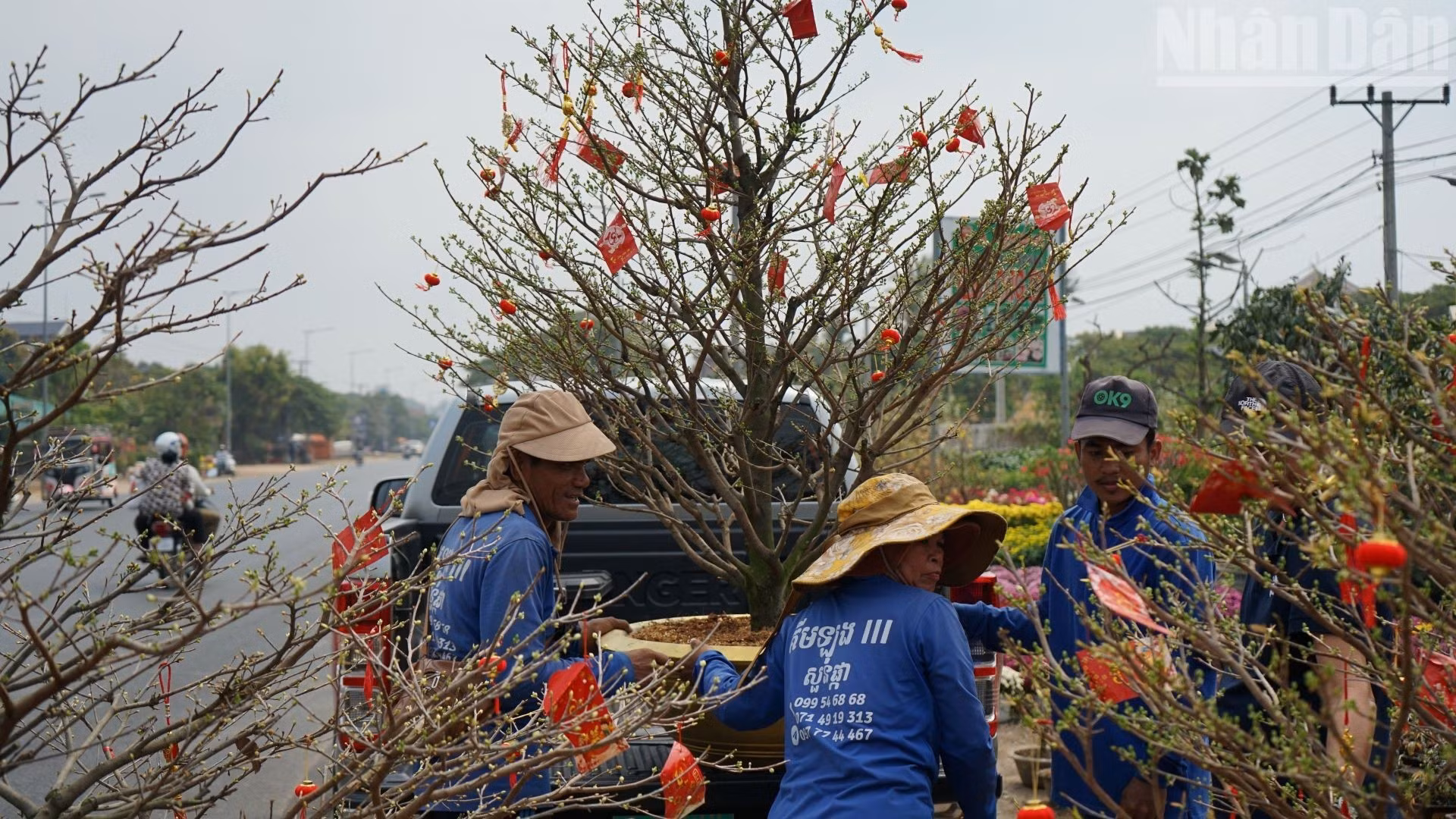 在熙熙攘攘的道路两旁，园丁们正忙着为顾客准备植物和鲜花。