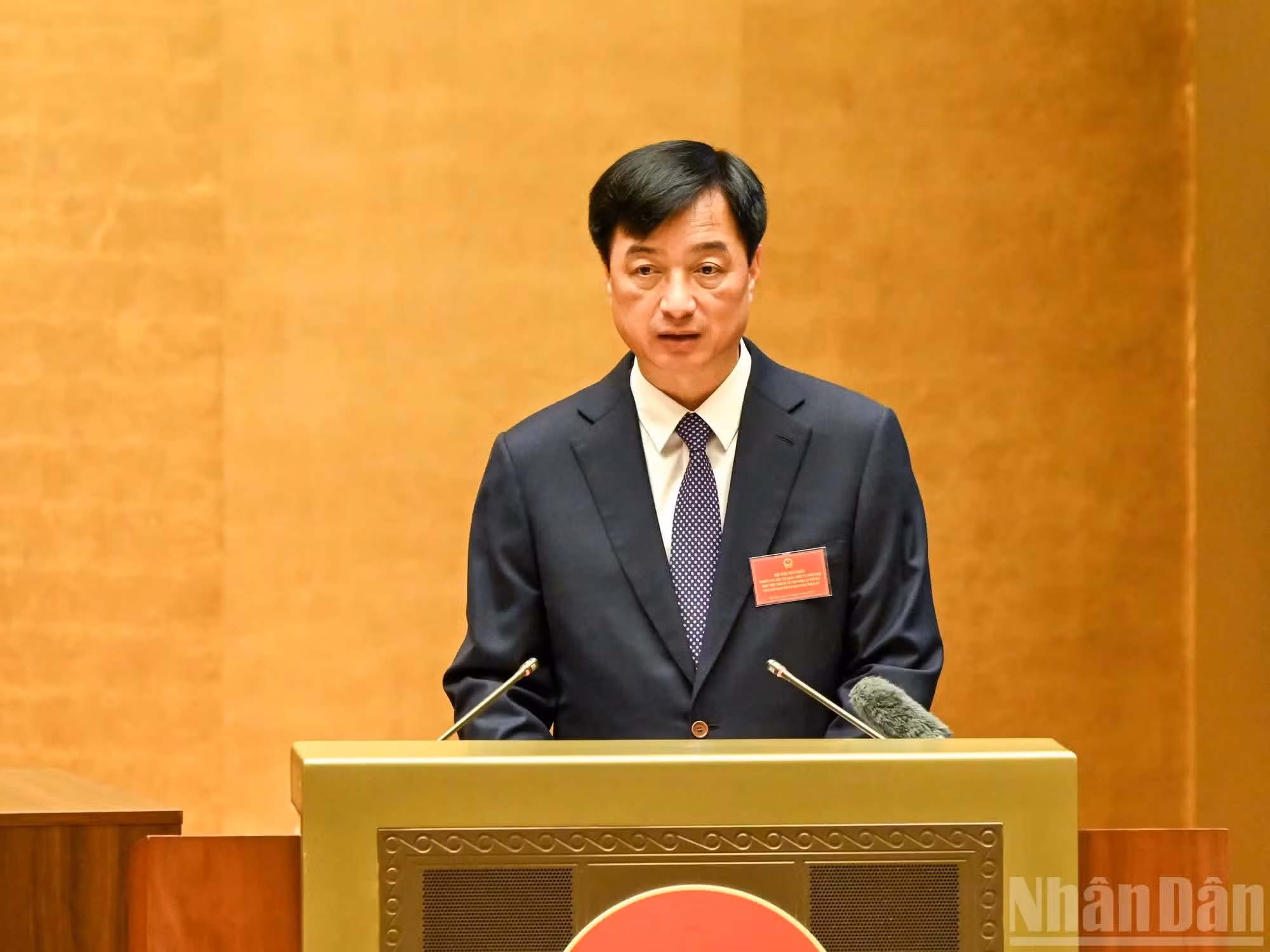 中央组织部部长阮维玉发表讲话。