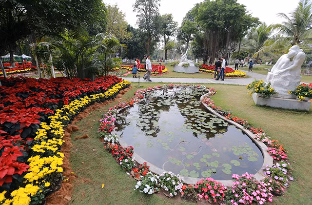 五颜六色的花街在 Ecopark 举行 ảnh 3
