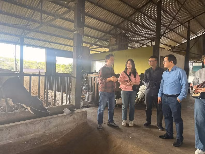 Amifarm 老板阮光荣（左）介绍饲养奶牛和生产有机牛奶的方法。