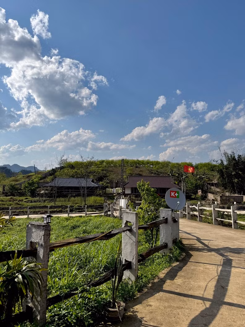 Amifarm 的一个角落。