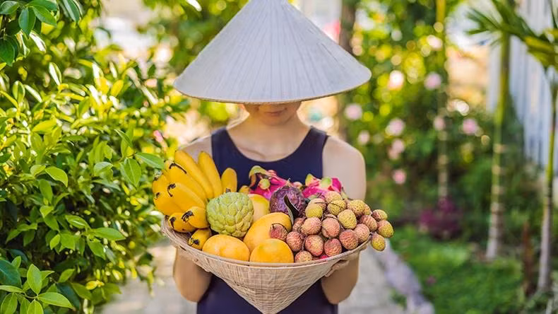 这是俄罗斯旅行社Margput为推广越南旅游而发布的宣传图片