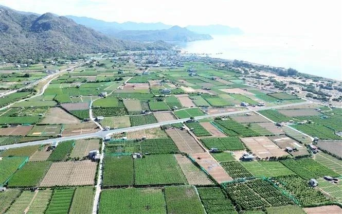 宁顺二号核电站位于宁海县永海乡泰安村。（图片来源：越通社）