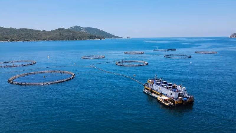庆和省云峰湾的高科技海水养殖模式。（图片：宝庄摄）