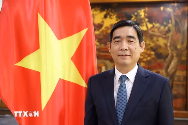 越南驻泰国大使范越雄。（图片来源：越通社）