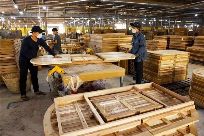 新西兰与越南加强木材出口合作。（图片来源：越通社）